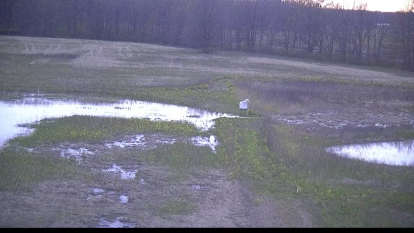 capture-12-22-05-04_20-26-45-31