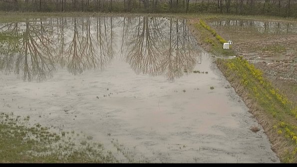 capture-14-22-05-04_14-13-39-29