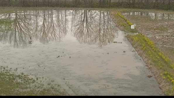 capture-14-22-05-04_17-20-39-46