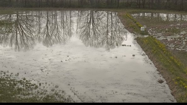 capture-14-22-05-04_18-22-59-42