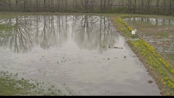 capture-14-22-05-06_19-12-49-41