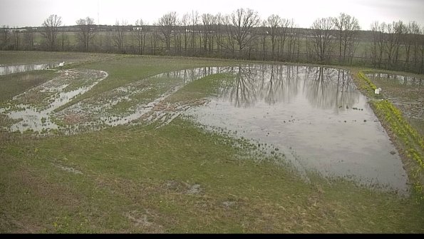 capture-6-22-05-06_19-12-35-59