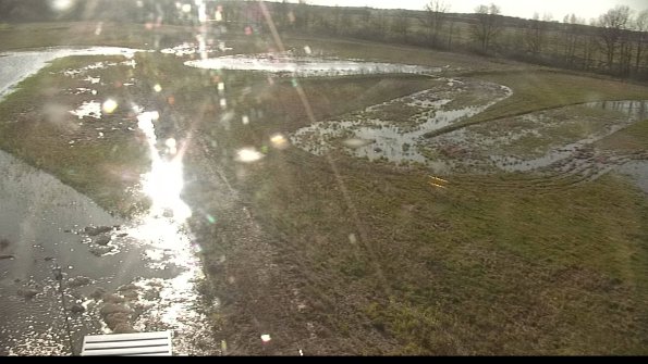 capture-1-22-05-07_19-07-19-65