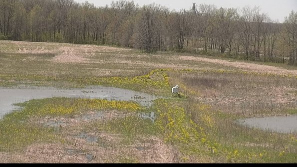 capture-12-22-05-07_13-54-01-43