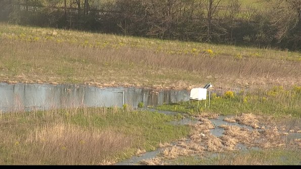 capture-13-22-05-07_07-40-26-41