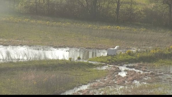 capture-13-22-05-07_19-06-10-24