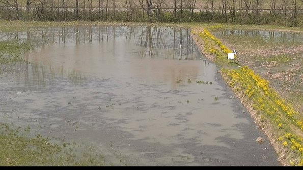 capture-14-22-05-07_14-57-17-44