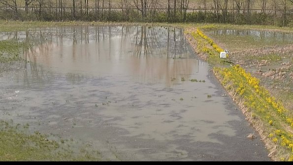 capture-14-22-05-07_15-59-37-37