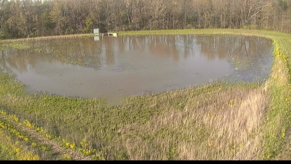 capture-15-22-05-07_19-06-52-32