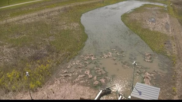 capture-3-22-05-07_14-56-08-37