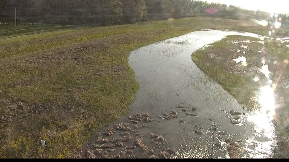 capture-3-22-05-07_19-05-30-24