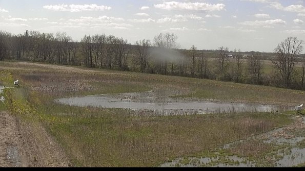 capture-4-22-05-07_15-58-55-49