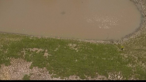 capture-8-22-05-07_12-51-12-27