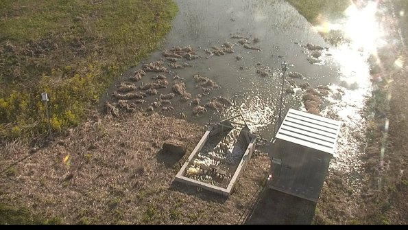 capture-9-22-05-07_19-07-07-63