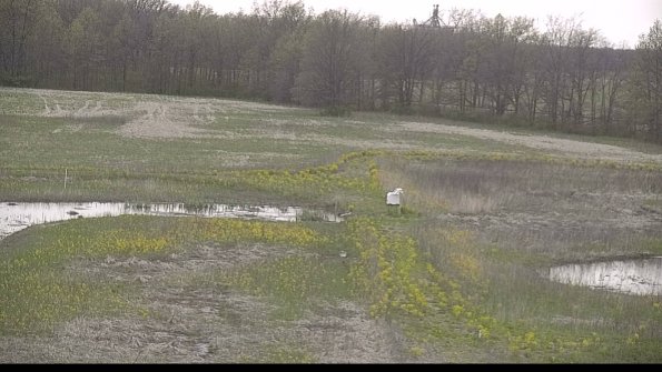 capture-12-22-05-08_20-01-55-46