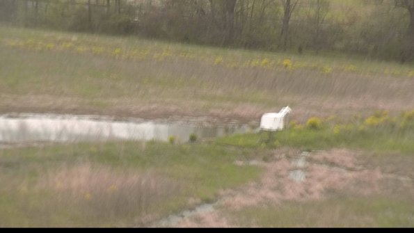 capture-13-22-05-08_19-00-01-36