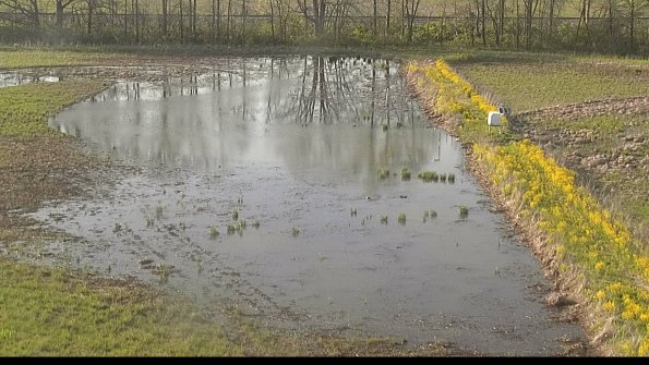 capture-14-22-05-09_18-54-22-42