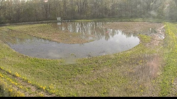 capture-15-22-05-09_08-31-11-36