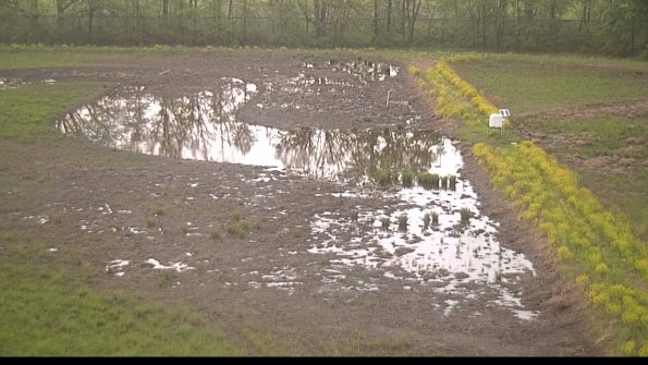 capture-14-22-05-14_19-26-06-33