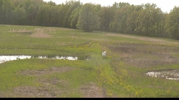 capture-12-22-05-15_17-14-18-27