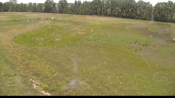 capture-1-22-06-22_13-00-20-34