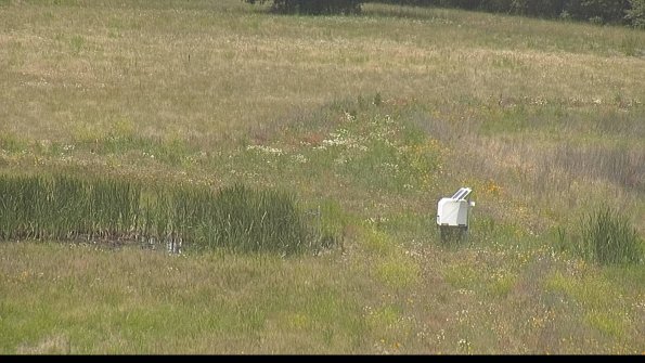 capture-12-22-06-22_12-58-42-37