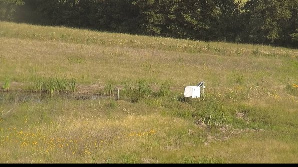 capture-13-22-06-22_08-49-38-35