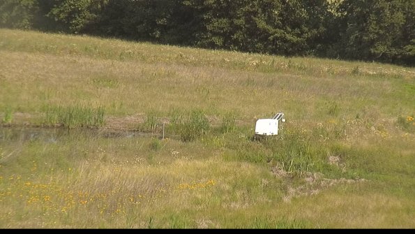 capture-13-22-06-22_09-52-01-41