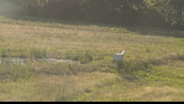 capture-13-22-06-22_19-13-32-27