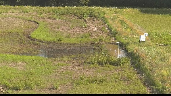 capture-14-22-06-22_08-50-06-34