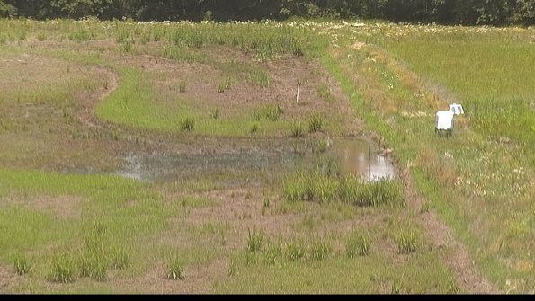 capture-14-22-06-22_12-59-38-40