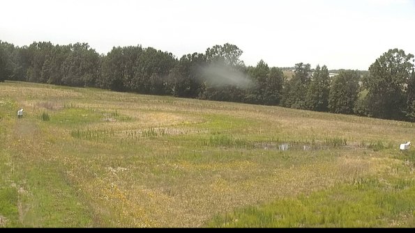 capture-4-22-06-22_14-01-20-18