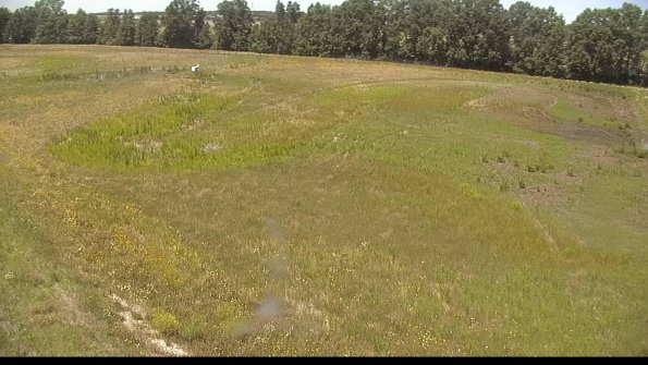 capture-1-22-06-23_13-57-47-31