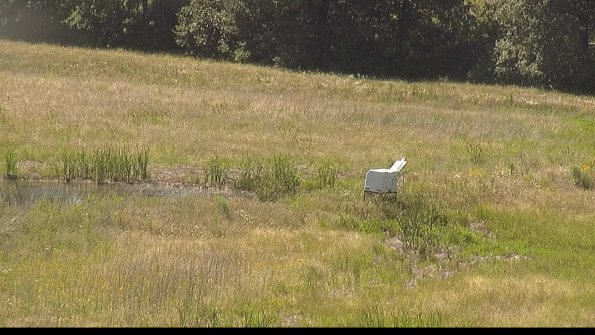 capture-13-22-06-23_16-01-21-38