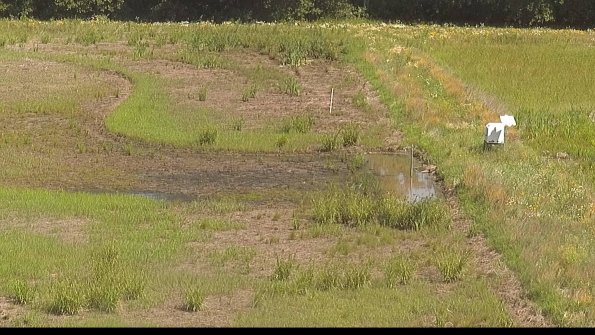 capture-14-22-06-23_10-49-55-33