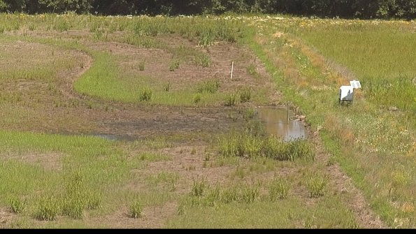 capture-14-22-06-23_11-52-19-39