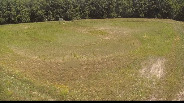 capture-15-22-06-23_12-54-56-33