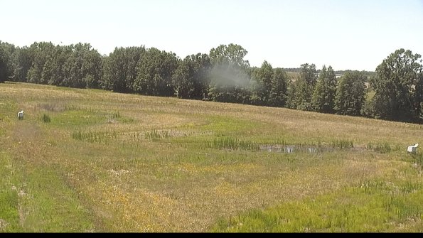 capture-4-22-06-23_14-58-44-48