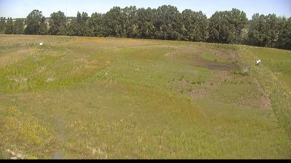 capture-6-22-06-23_11-52-05-37