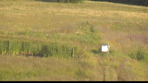 capture-12-22-06-25_07-31-49-33