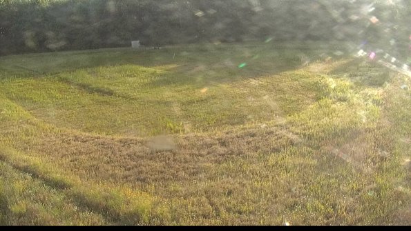 capture-15-22-06-25_07-33-00-34