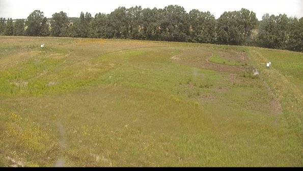 capture-6-22-06-25_12-44-31-50