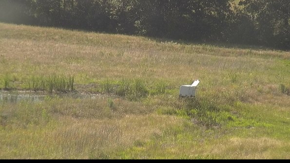 capture-13-22-06-27_17-46-13-41