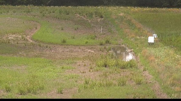 capture-14-22-06-27_13-37-07-37