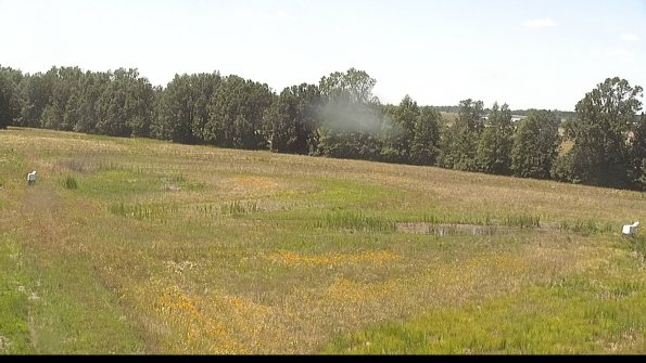 capture-4-22-06-27_14-38-48-32