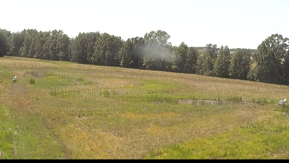 capture-4-22-06-27_15-41-11-34