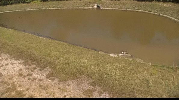 capture-8-22-06-27_15-40-27-37