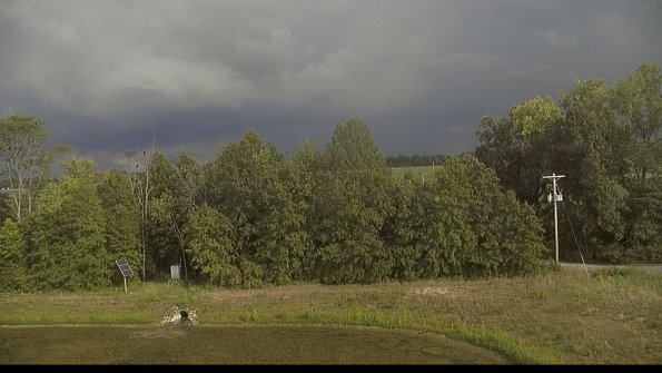 capture-1-22-08-21_17-39-43-31