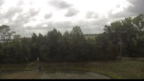 capture-1-22-08-22_11-10-42-36