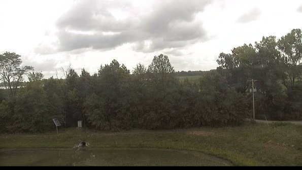 capture-1-22-08-22_12-12-31-35